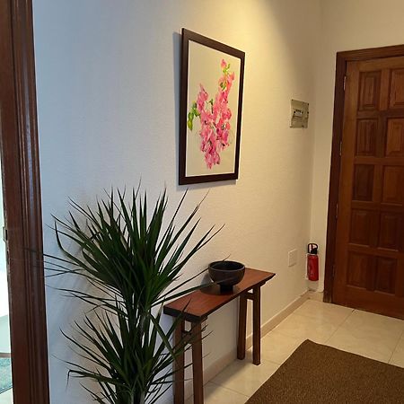 Ferienwohnung Cozy Santa Cruz de Tenerife Exterior foto