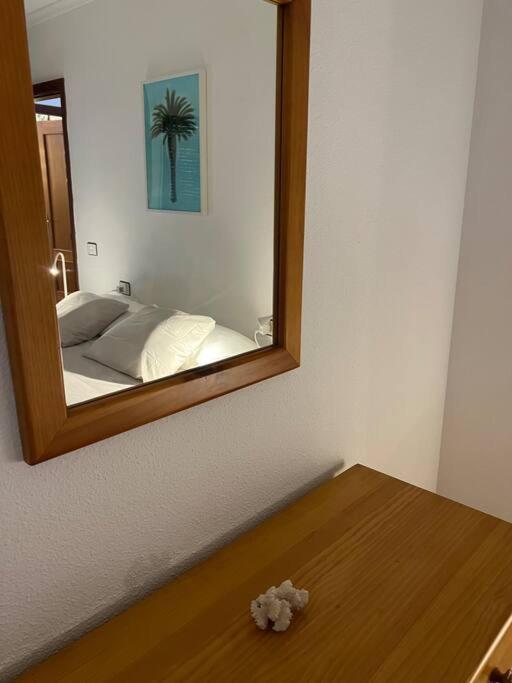 Ferienwohnung Cozy Santa Cruz de Tenerife Exterior foto